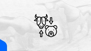 mercado cripto, bear market, bull market, bitcoin, investimentos